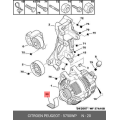 Alternator Belt