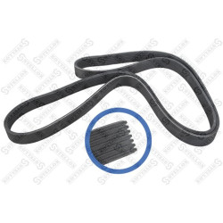 Poly-V Belt ! 7Pk1790 Renault Laguna 1.9Dci 01>