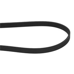 V-Ribbed Belt A4 Audi