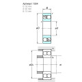 Bearing, Pinion