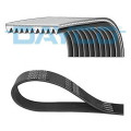 DAYCO 10PK1145HD Genuine Poly-V Belt