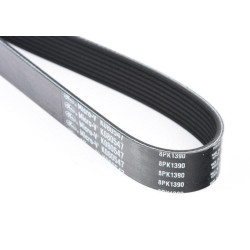 Ribbed V-Belt