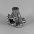 Water Pump 980021