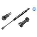 Gas Spring Frt Bmw X5