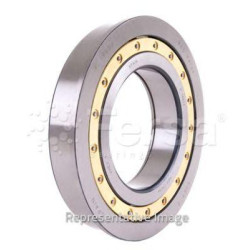 Cylindrical Roller Bearing