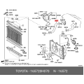 Radiator Hose