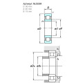 Plate,Strut Bearing