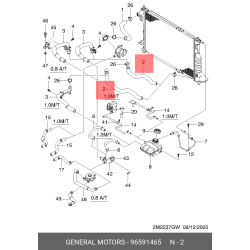 Hose , Radiator Lower